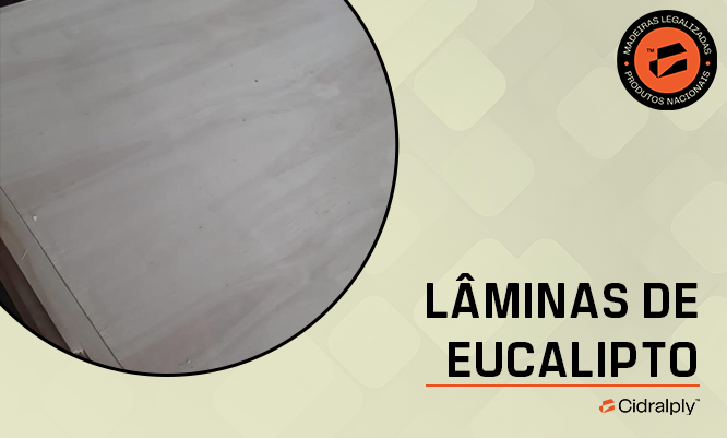 Lâminas de Eucalipto